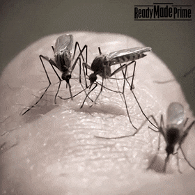 Mosquito Killer lamp for Home